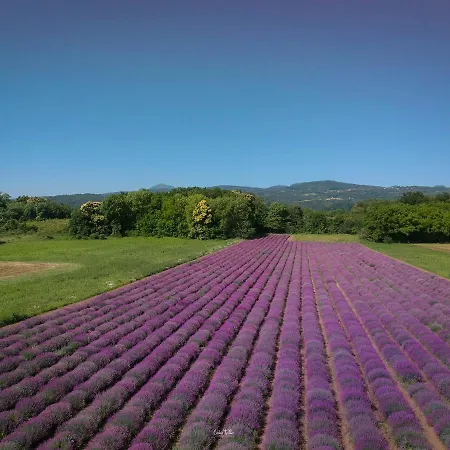 La Porte Des Volcans Blanzat