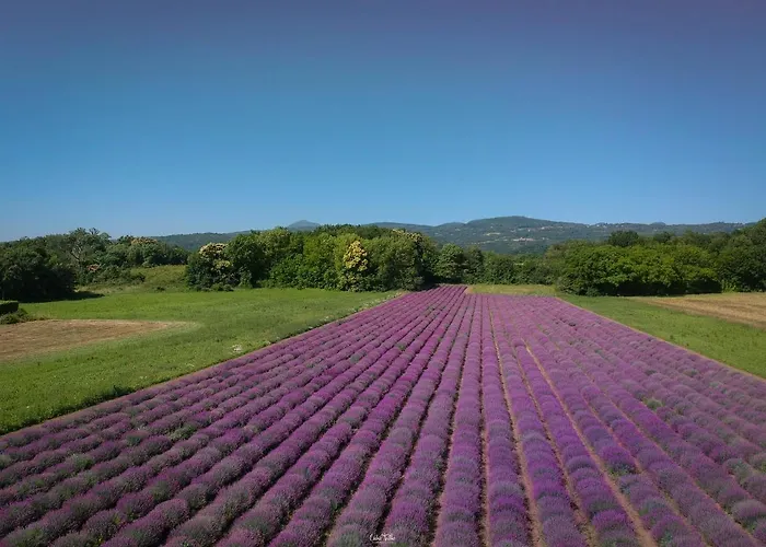 La Porte Des Volcans Blanzat